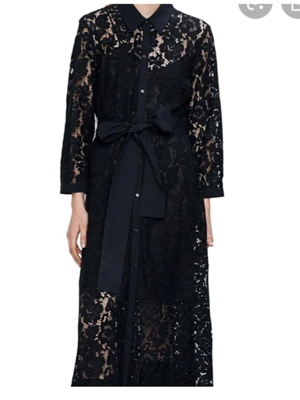 Zara sheer lace